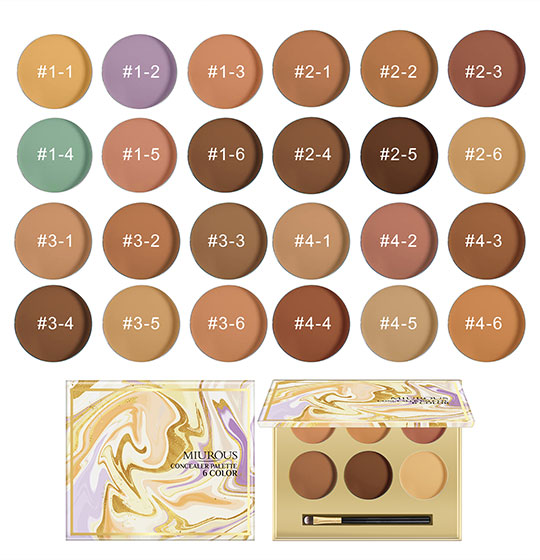 6 Color Concealer Palette